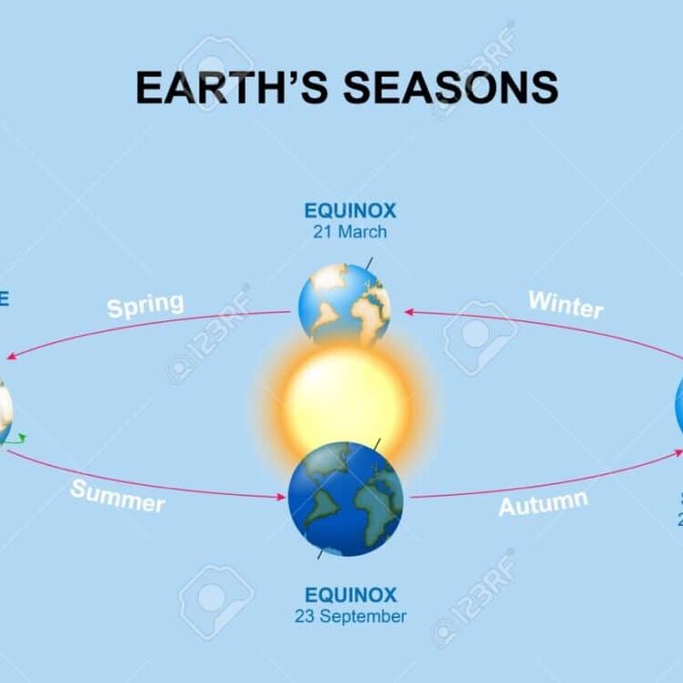 Earth orbits the Sun showing the seasons on Earth and equinox and solstice